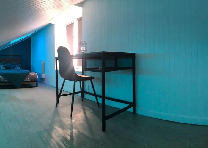 Appartement Chambery Rue Pietonne