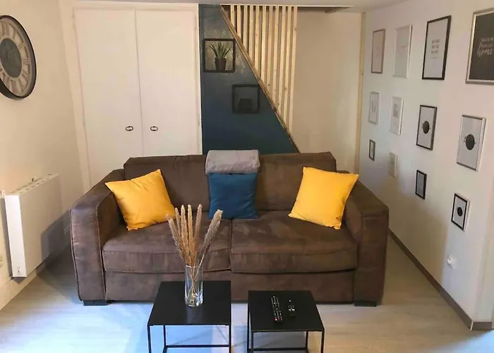 Appartement Chambery Rue Pietonne