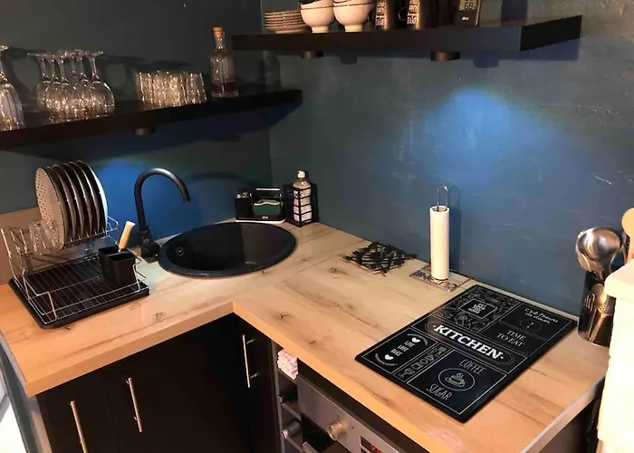 Appartement Chambery Rue Pietonne